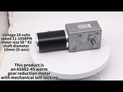 ডিসি ওয়ার্ম গিয়ার মোটর